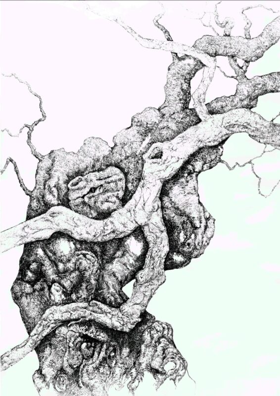 Seprodi Agi - Dendrognosis